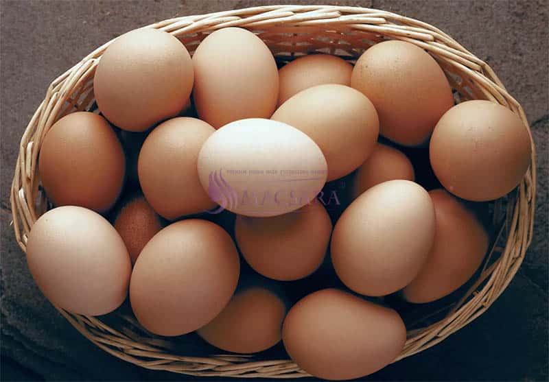 The egg is a kind of nurture that is very rich in protein