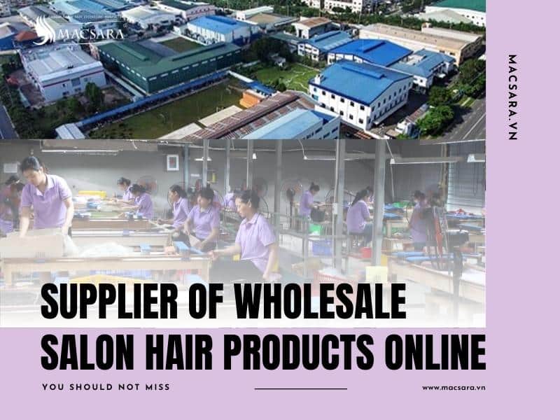 The Best Supplier of Wholesale Salon Hair Products Online