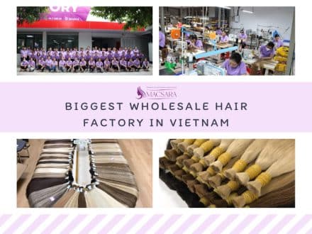 macsarahair-Macsarahair-The-Biggest-Wholesale Hair-Factory-In-Vietnam
